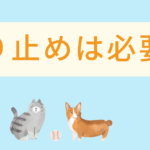 大学受験：滑り止めは受けたほうがいい？